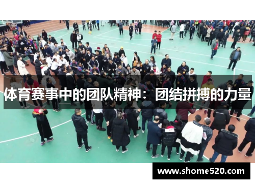 体育赛事中的团队精神：团结拼搏的力量