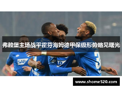 弗赖堡主场战平霍芬海姆德甲保级形势略见曙光