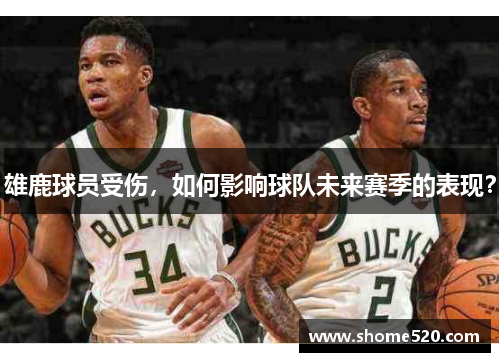 雄鹿球员受伤，如何影响球队未来赛季的表现？